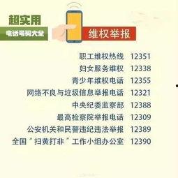 丹东新闻爆料电话号码,揭秘市民爆料新途径 第2张 丹东新闻爆料电话号码,揭秘市民爆料新途径 第2张