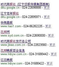 沈阳市新闻爆料电话号码,守护城市脉搏，倾听市民心声  第2张