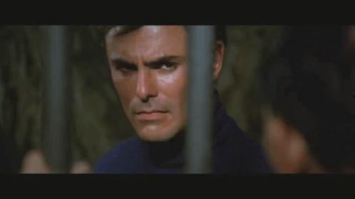 龙争虎斗电影在线观看,巅峰对决，热血激战在线放送  第1张