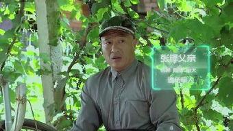 黄圣依爆料宋小宝视频在线观看,在线观看引发热议  第2张